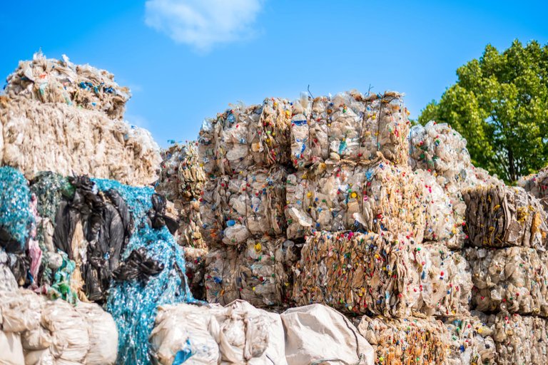 The Untapped “Trash Economy”