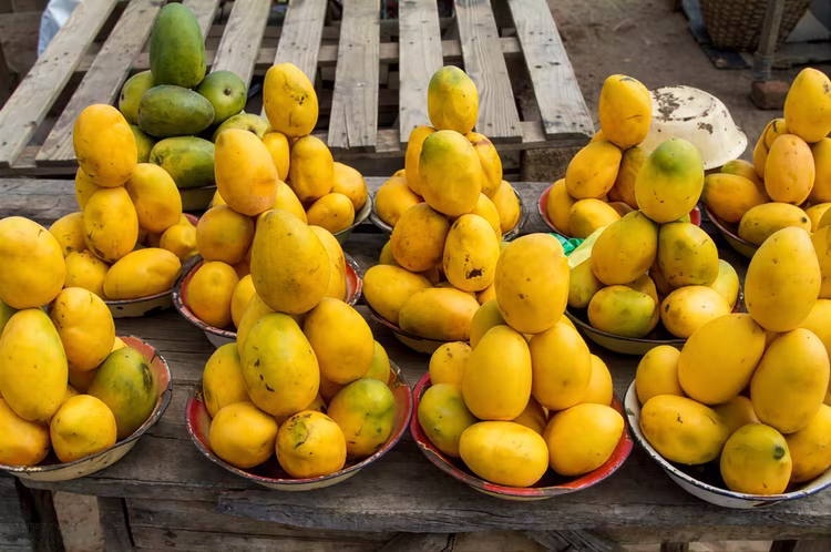 Mangoes are the reason that, as our days grow wetter and our shoes soggier, we greet December with a smile (even if there are mango fibres caught in our teeth).