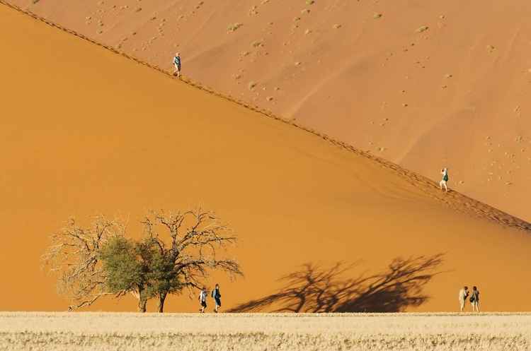 (Image courtesy of Alamy)