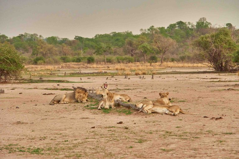 A Boost for Zambian Tourism
