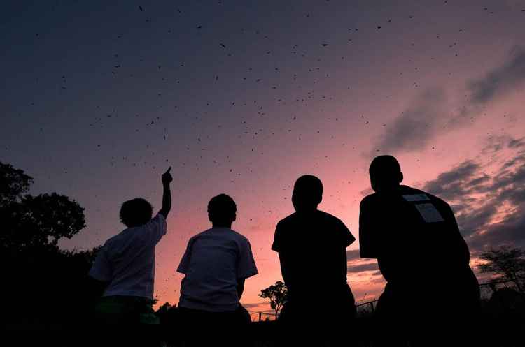 Local children view the Kasanka bat migration (Image by Nick Garbutt)