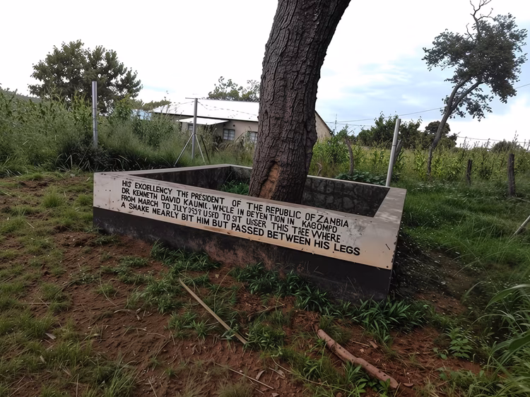 He often walked miles from the house, sometimes reaching the Kabompo River, where he appreciated the surrounding natural beauty. (Image courtesy of Pwando 24).