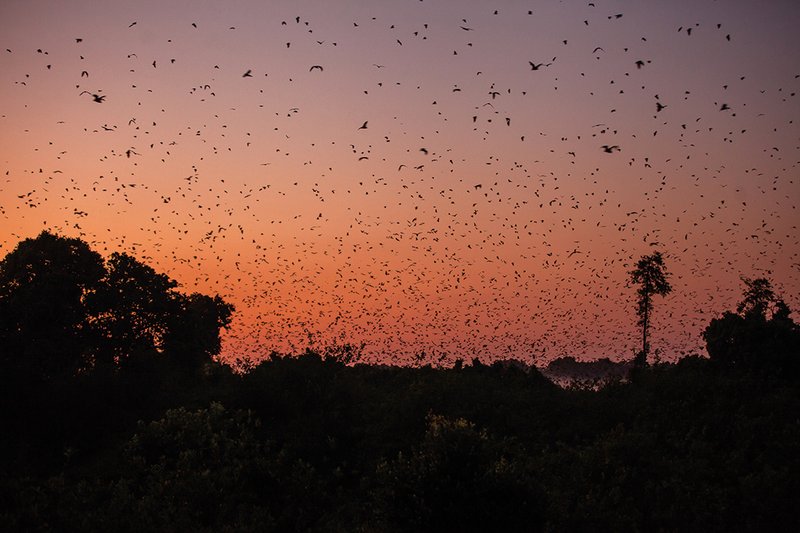Tourist Destinations in Zambia You Need to Know