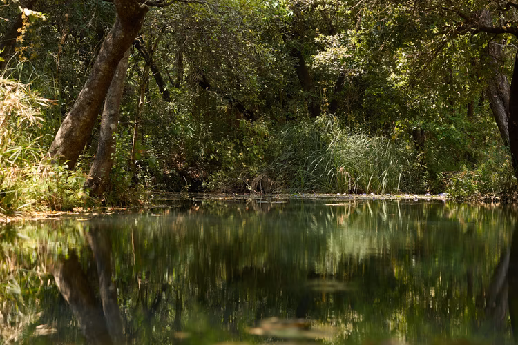 Natural rock pools fed by streams, with water clear enough to see the bottom and shallow sections are perfect for younger children. (Image by Justine Kunda for Nkwazi Magazine).