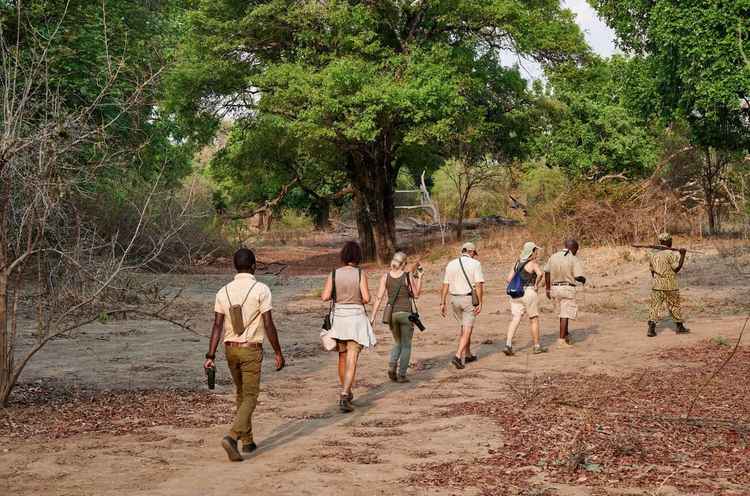 There are many Zambian creators letting their audience navigate adulthood with light‑heartedness and zest for life through travel content, lifestyle insights and storytelling. (Image by Juergen Ritterbach).