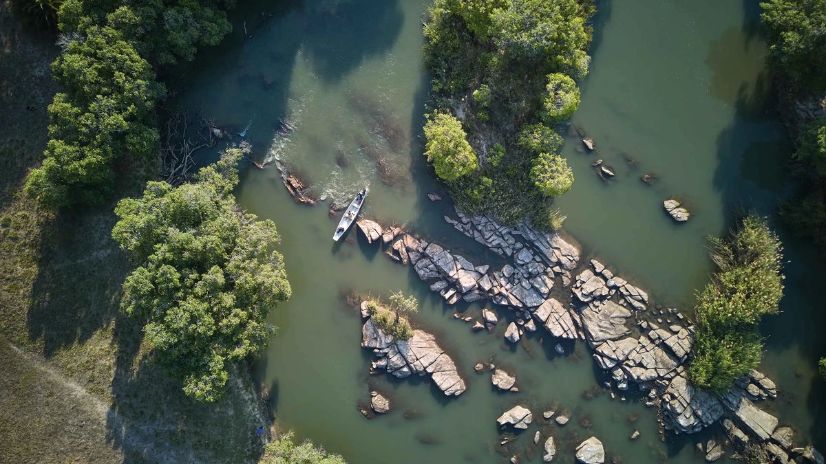 Zambia Joins the Carbon Credit Revolution