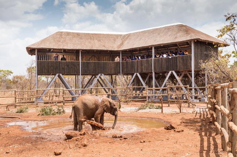 Kid-Friendly Places to Visit in Lusaka