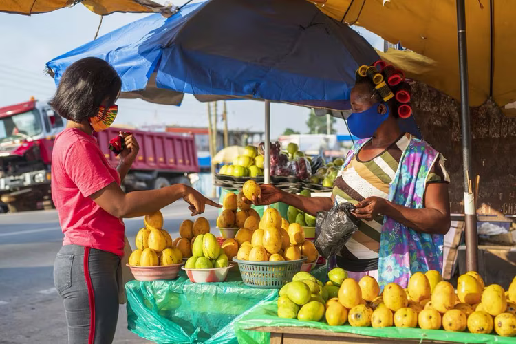 Our markets, roadside stalls, and backyard gardens are filled with vegetables, grains, seeds, and legumes that nutrition science continues to validate.