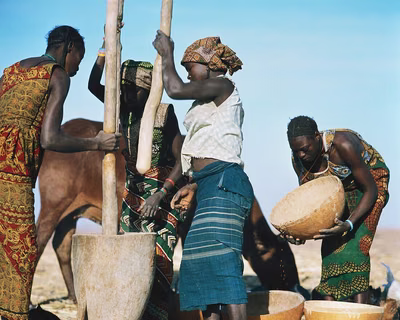 The Alarming Rise of Aflatoxins in Zambia