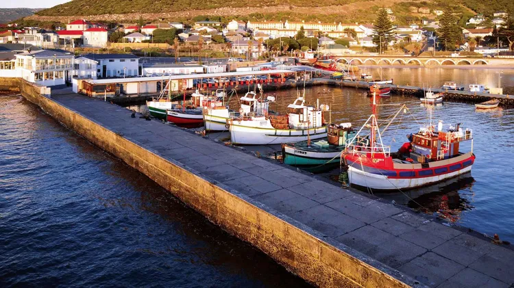 Boats await in the harbour for another full day of fishing and boat cruises tomorrow.