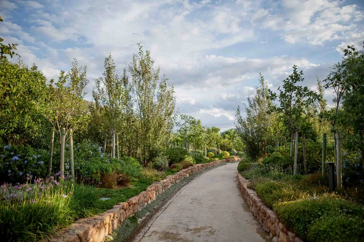 Award-winning gardens. Image courtesy of Bosjes Estate.