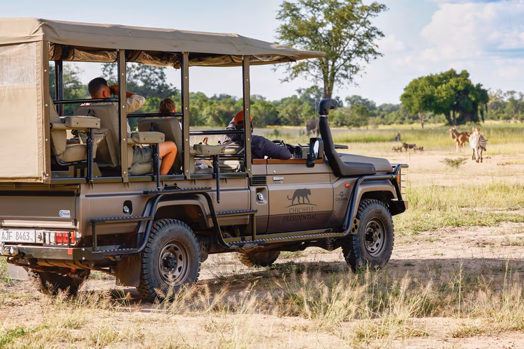 Take a morning or afternoon walking safari or game drive in custom Land Cruisers to spot lions, leopards, buffalo and over 350 bird species. (Image courtesy of Elsa Young).